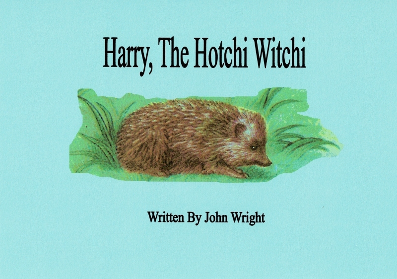 Harry the Hotchi Witchi